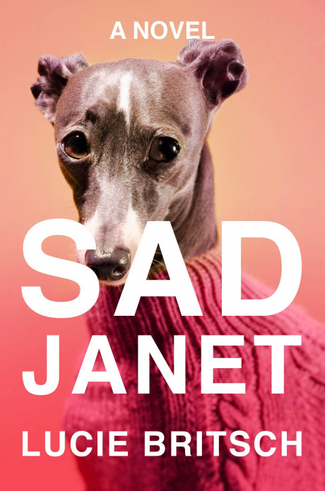 Amazon Com Sad Janet A Novel 9780593086520 Lucie