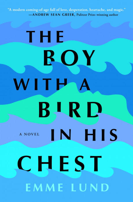 The Boy With A Bird In His Chest Book By Emme Lund Official Publisher Simon