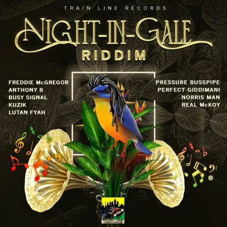 Various Artists Night In Gale Riddim Lyrics Tracklist