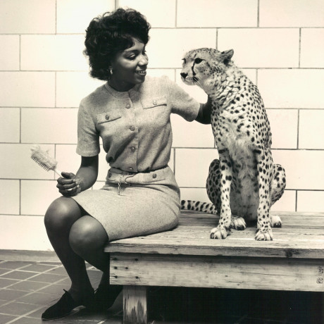 Mary J Wilson Was Baltimore S First Black Senior Zookeeper The York